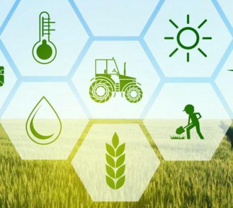 AgriTech solutions